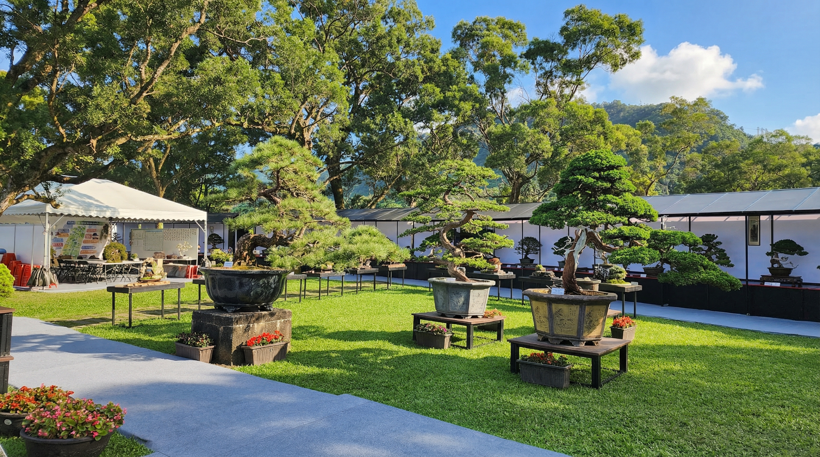 盆栽館 形象佔圖